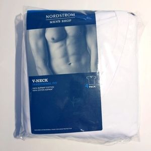 Brand New Nordstrom V-Neck Tee Shirt